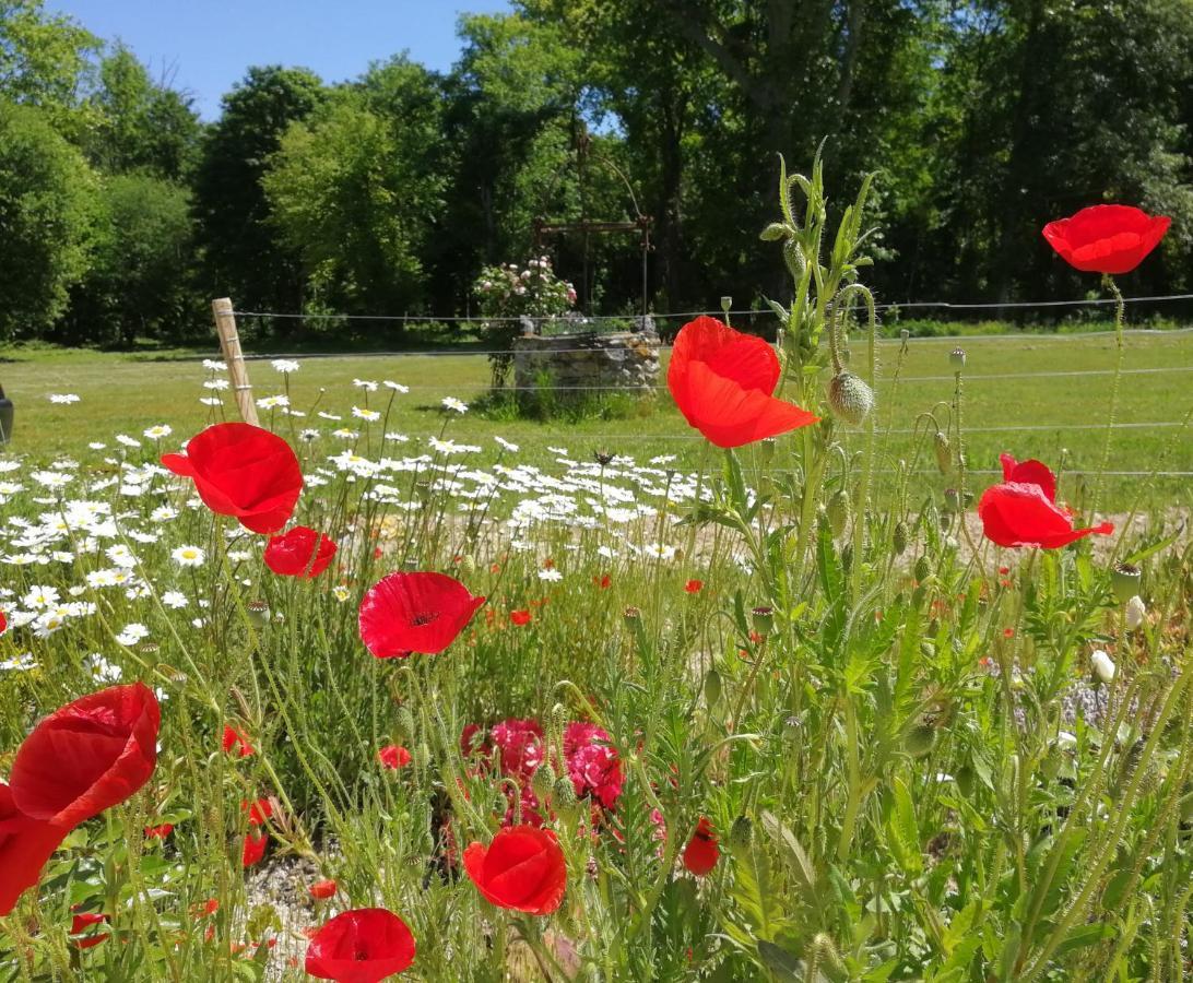Chateau De Courmelois Champagne Guest House Val de Vesle Luaran gambar