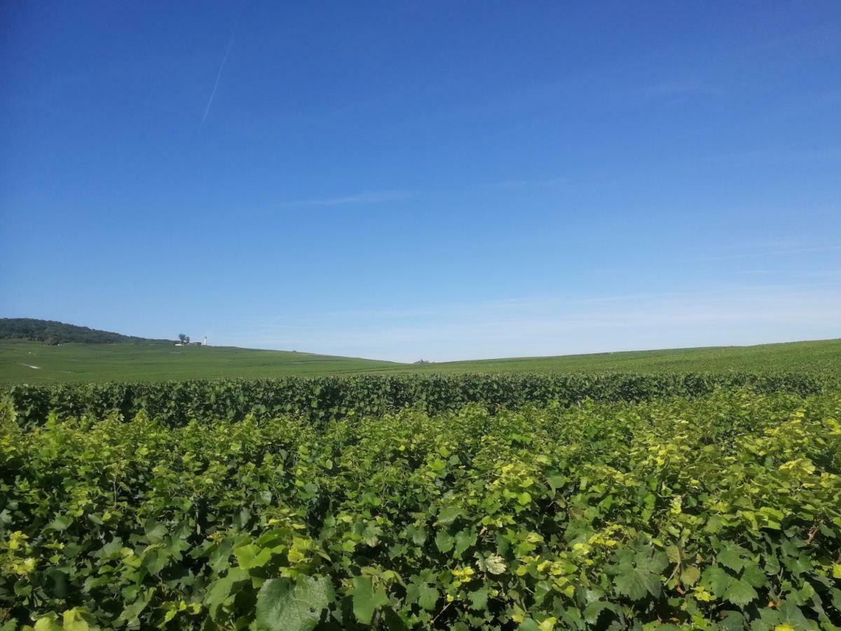 Chateau De Courmelois Champagne Guest House Val de Vesle Luaran gambar
