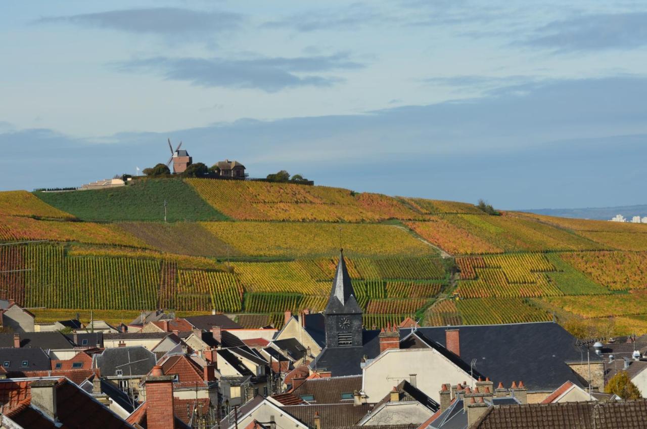 Chateau De Courmelois Champagne Guest House Val de Vesle Luaran gambar